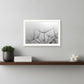Love is a Delicate Flower Black Framed Print Wall Art