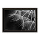 Delicate Beauty Black Framed Print Wall Art