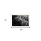 Delicate Beauty Black Framed Print Wall Art