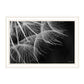 Delicate Beauty Black Framed Print Wall Art