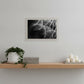 Delicate Beauty Black Framed Print Wall Art