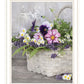 Fresh Garden Basket White Framed Print Wall Art