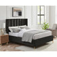 Black Velvet Upholstered Queen Bed Frame