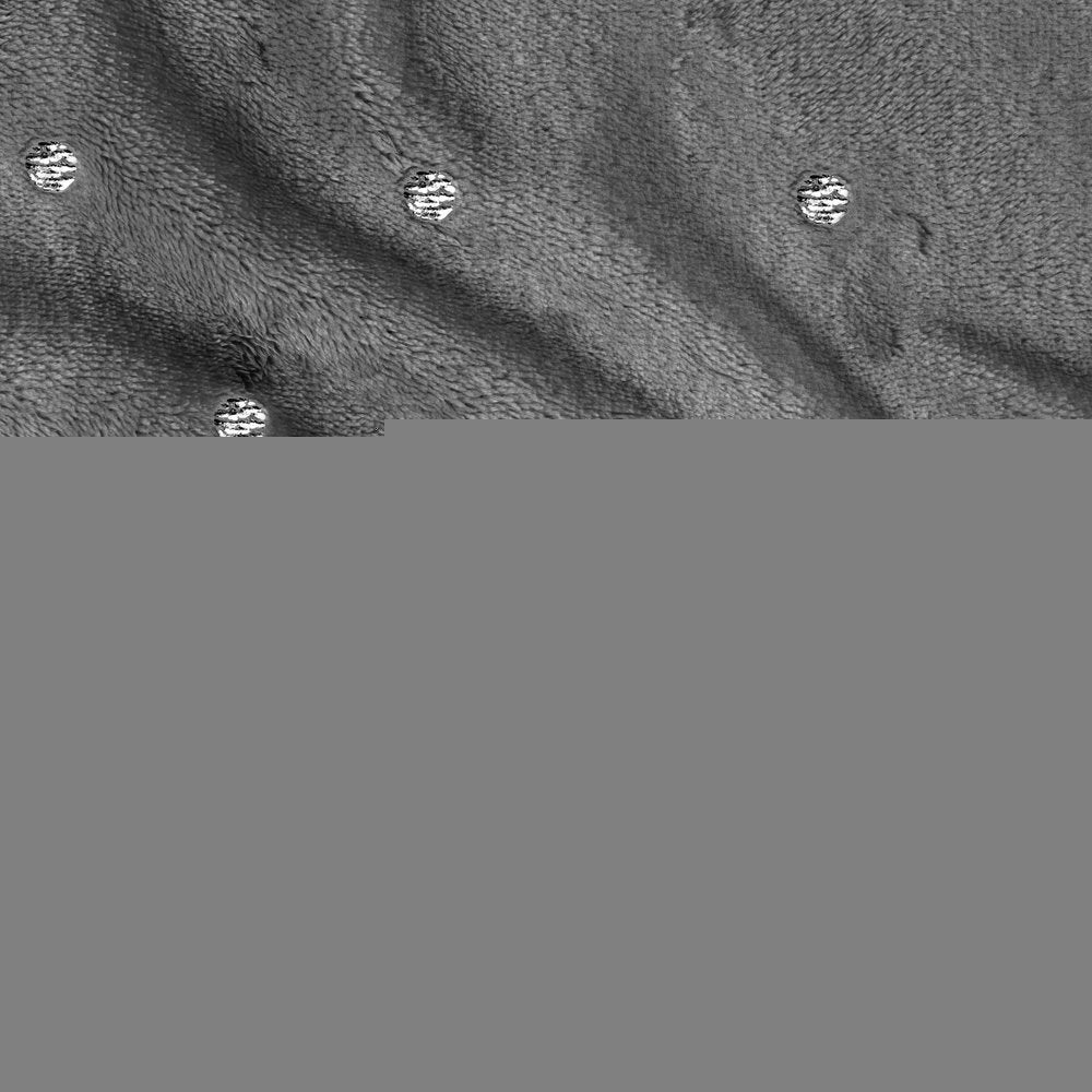 Queen Gray And Silver Fleece Woven Polka Dots Plush Blanket