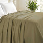 Queen Sage Cotton Woven Chevron Blanket