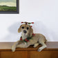 4" Brown Green And Red Polyresin Dog Christmas Santa Figurine