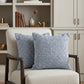 Set of Two Blue Chevron Cotton Throw Pillows