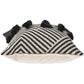 Set of Two Black and White Chevron Cotton Throw Pillow With Tassels