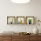 Set of Three Mya Faux Niche 3D Peel and Stick Wall Decals