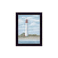 Set Of Two Cape May Lighthouse And Palm Trees Black Framed Wall Art