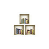 Set of Three Tina Niche 3D Square Peel and Stick Wall Decals