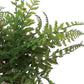 Set of Three 7" Green Artificial Fern In Round Gray Concrete Pot