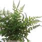 Set of Three 7" Green Artificial Fern In Round Gray Concrete Pot