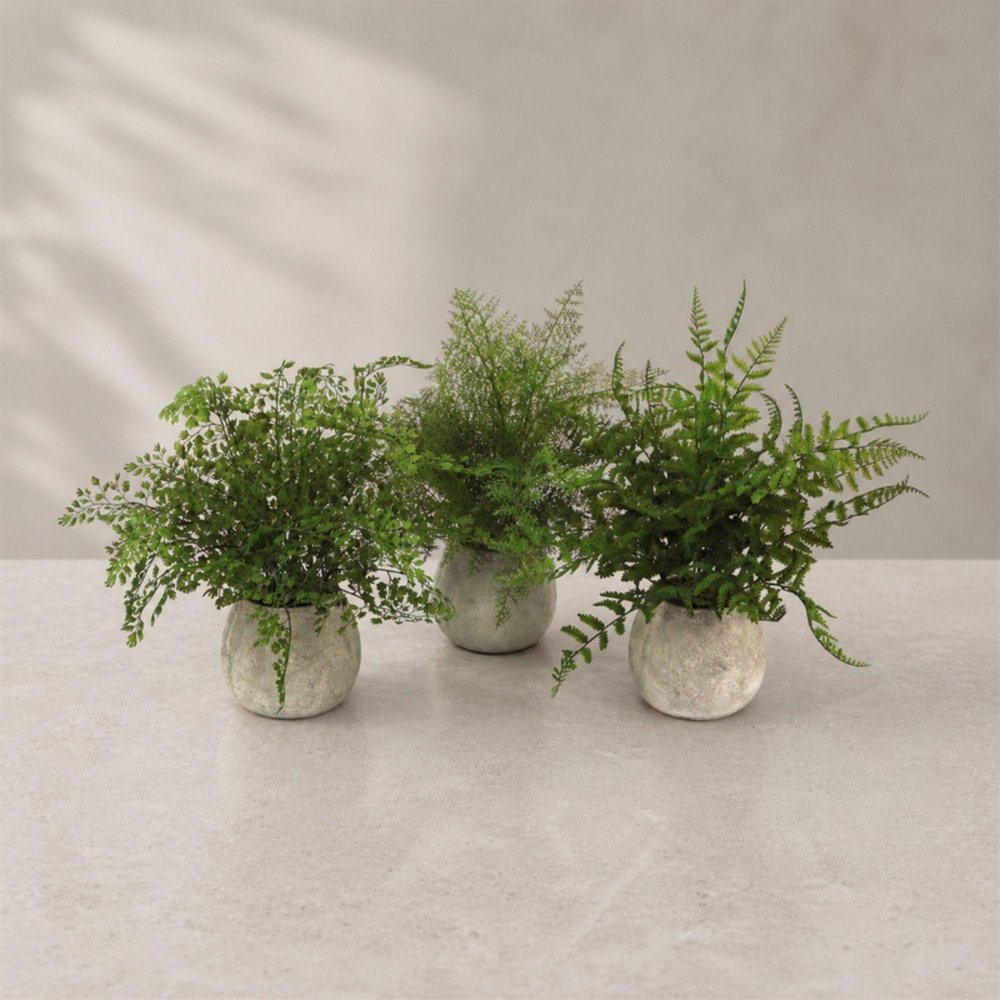 Set of Three 7" Green Artificial Fern In Round Gray Concrete Pot