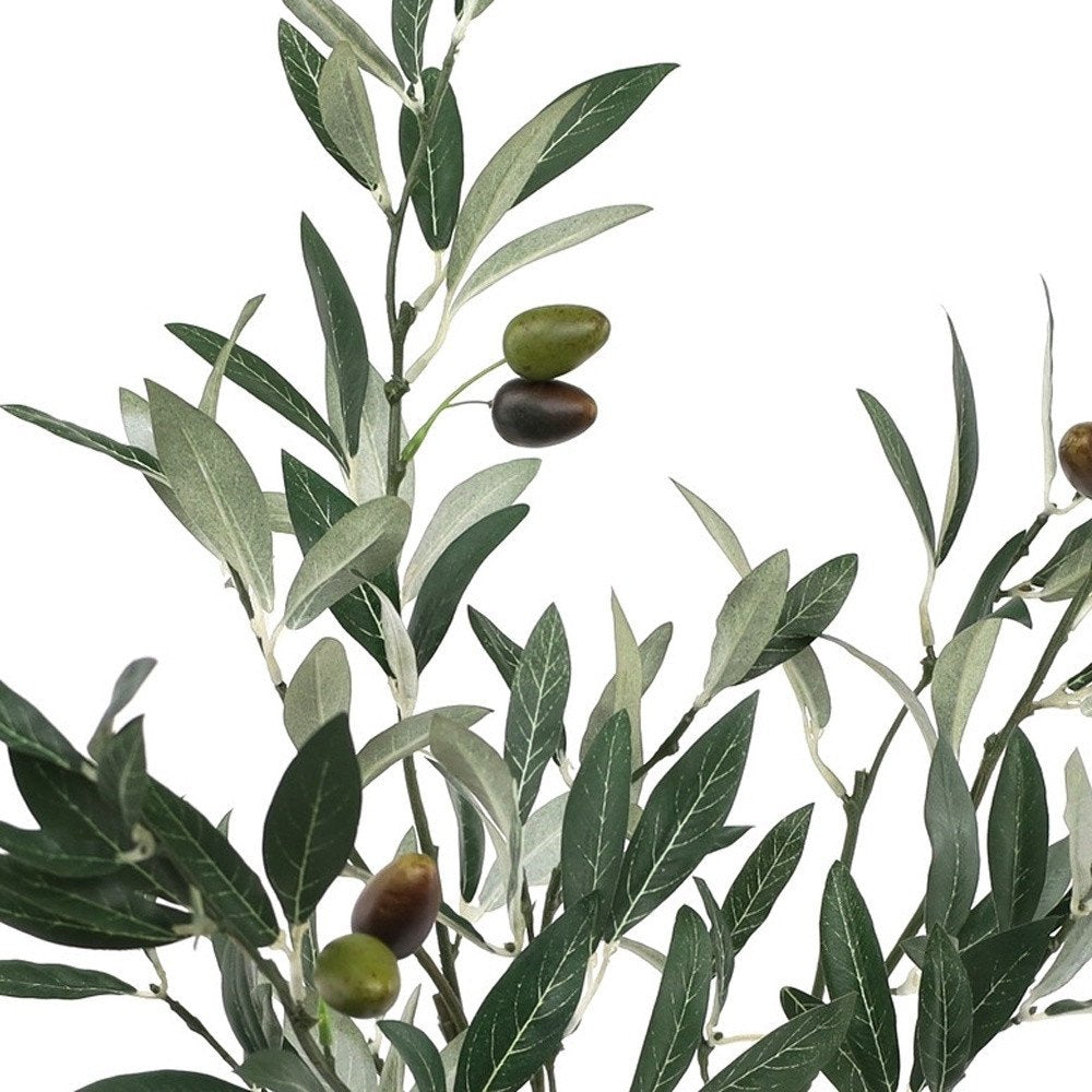 10" Green Artificial Olive In Round Terra Cotta Terracotta Pot