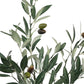 10" Green Artificial Olive In Round Terra Cotta Terracotta Pot