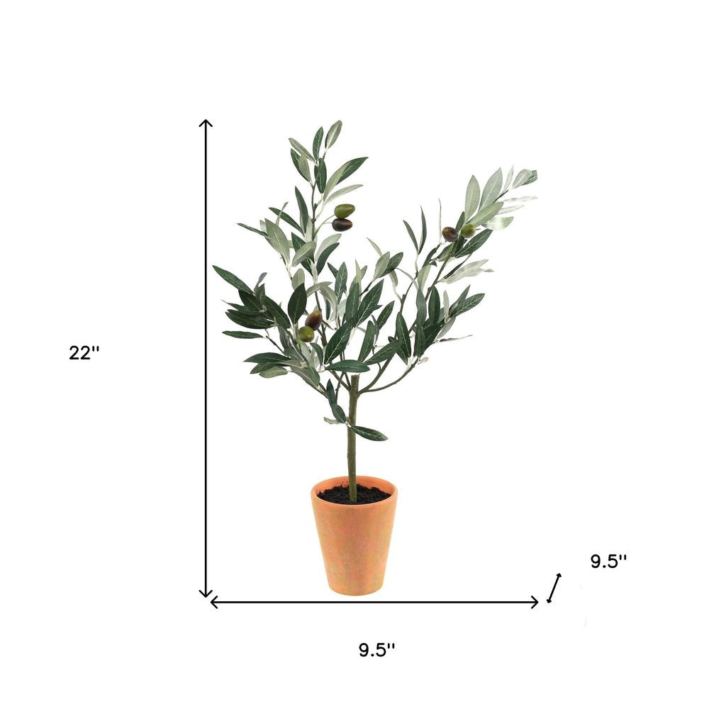 10" Green Artificial Olive In Round Terra Cotta Terracotta Pot