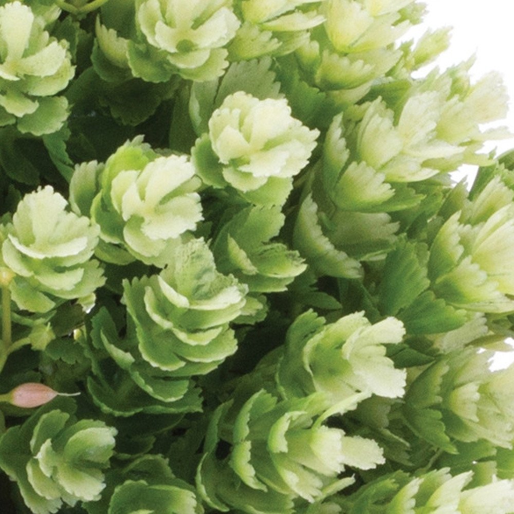 Set of Two 8" Green Artificial