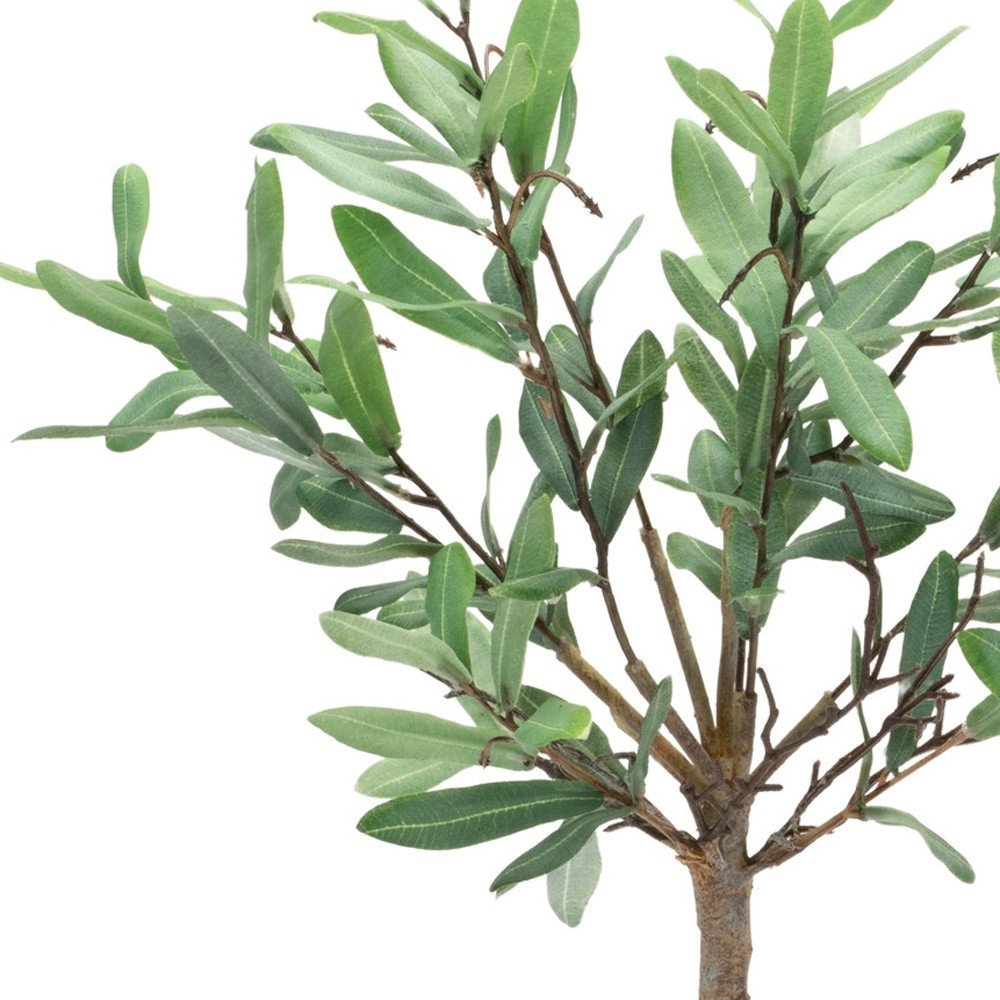 10" Green Artificial Olive In Round White Porcelain Pot