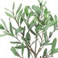 12" Green Artificial Olive In Round White Porcelain Pot