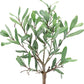 12" Green Artificial Olive In Round White Porcelain Pot