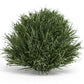 Set of Six 8" Green Artificial