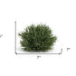 12 7" Green Artificial
