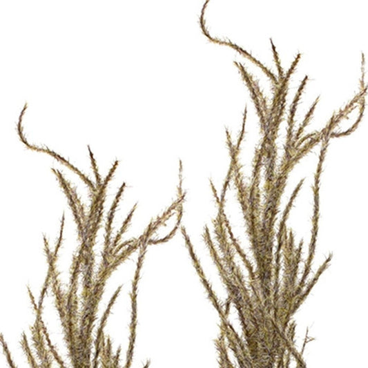 Set of Four 3" Brown Artificial Pampas