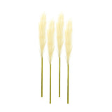 Set of Four 1" Beige Artificial Pampas