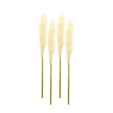 Set of Four 1" Beige Artificial Pampas