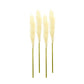 Set of Four 1" Beige Artificial Pampas