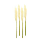 Set of Four 1" Beige Artificial Pampas