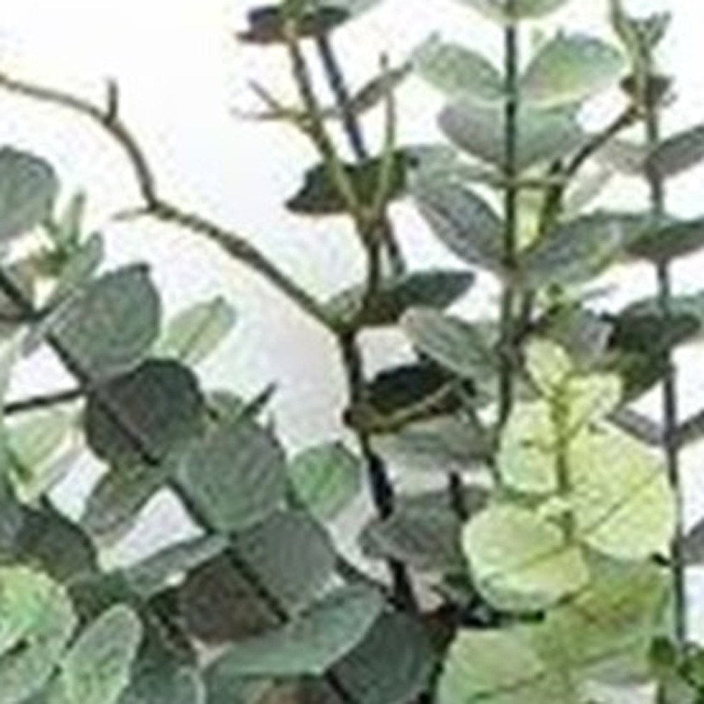 9" Green Artificial Eucalyptus