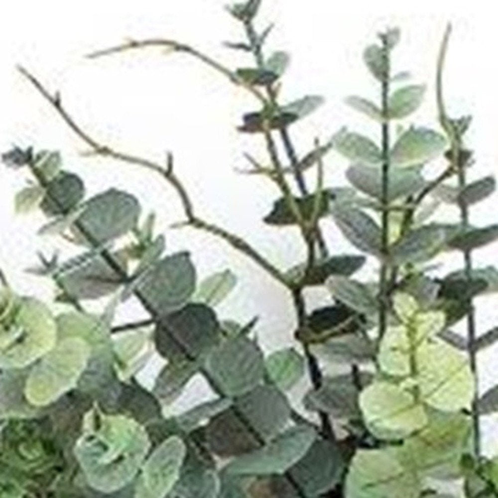 9" Green Artificial Eucalyptus