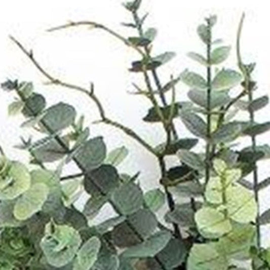 9" Green Artificial Eucalyptus