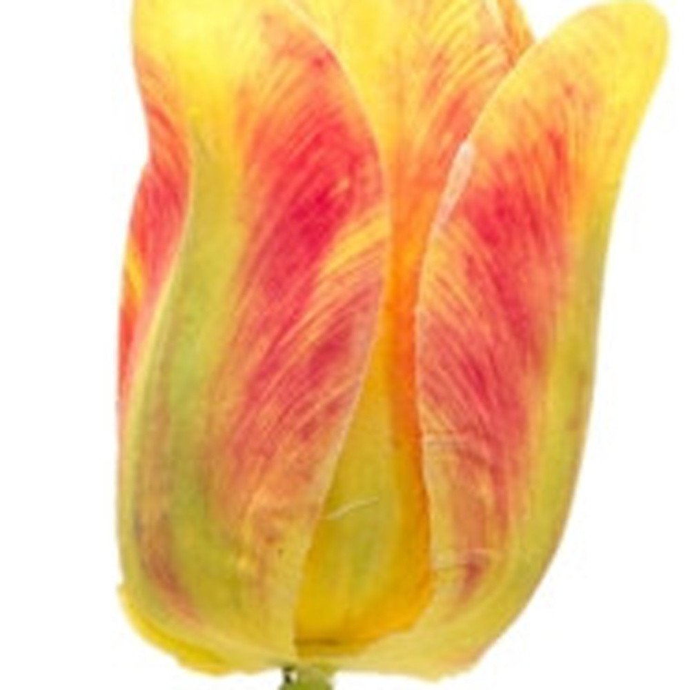 Set of Six 2" Green Artificial