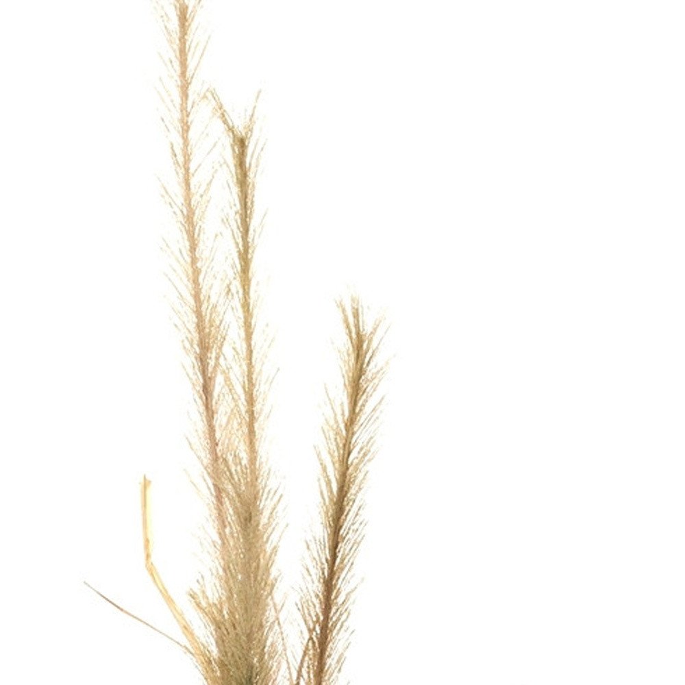 Set of Two 3" Brown Artificial