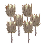 Set of Six 4" Brown Artificial
