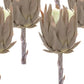 Set of Six 4" Brown Artificial