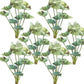 Set of Six 3" Green Artificial