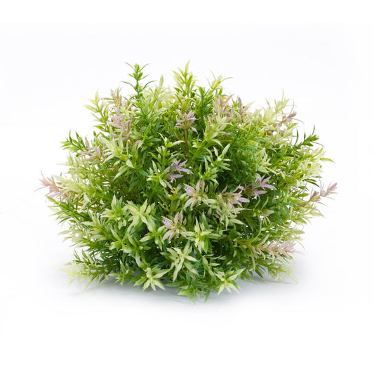 Set of Six 10" Green Artificial