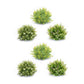 Set of Six 10" Green Artificial