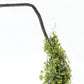 Set of Two 4" Green Artificial