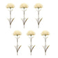 Set of Six 5" Cream Artificial