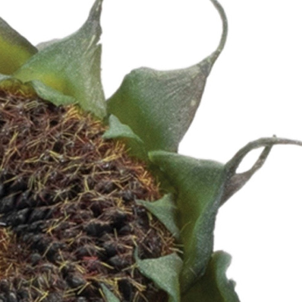 Set of Six 4" Black Artificial