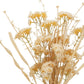 Set of Two 7" Beige Artificial