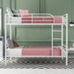 White Twin Over Twin Metal Bunk Bed
