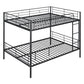 Black Full Over Full Iron Bunk Bed