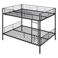 Black Full Over Full Iron Bunk Bed