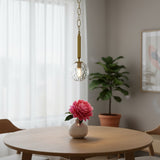 Clear Single Metal Dimmable Ceiling Light With Clear Shades